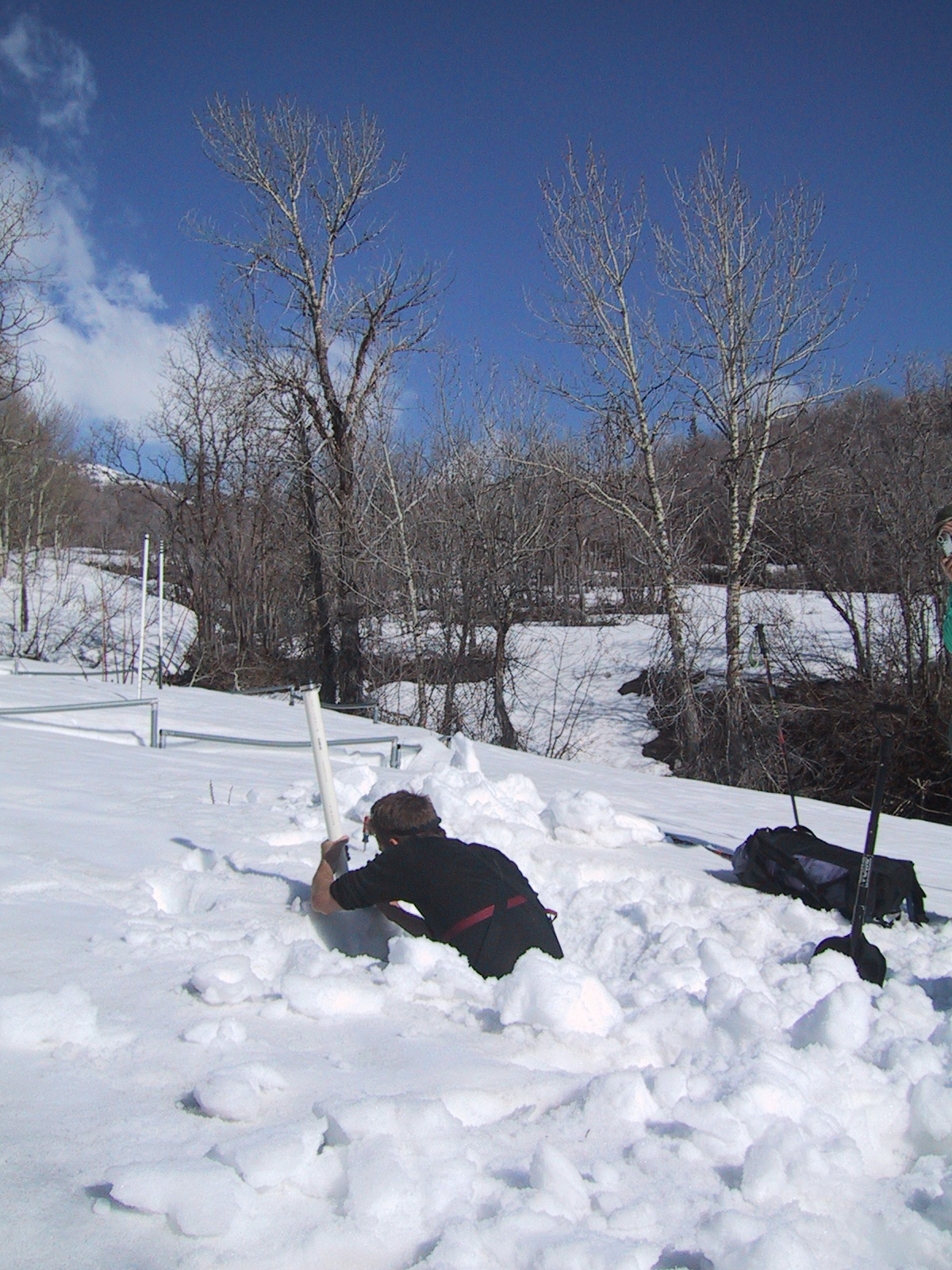 Snow pit at Alta